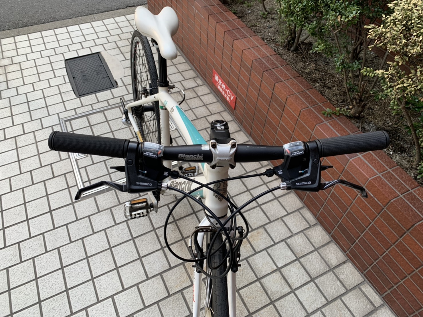 Bianchi Camaleonte 3 ビアンキカメレオンテ3 (中古) 入荷しました